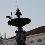 Fountain bird.jpg